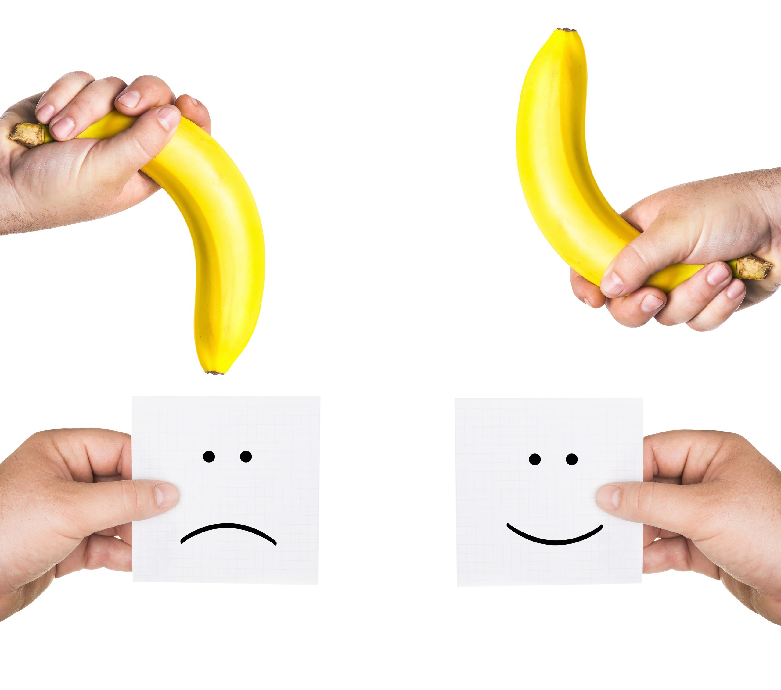 Erections Function